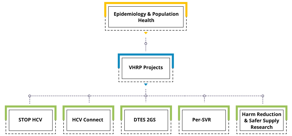 The VHRP Overview of Projects